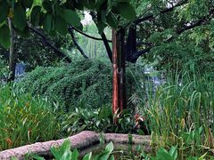 -成都市活水公园