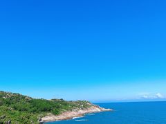 -广东惠东海龟国家级自然保护区