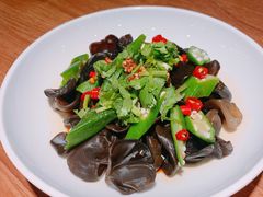 爽口木耳-晋家门(弘阳广场店)