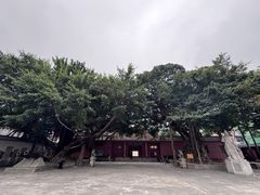 -闽粤南澳总镇府