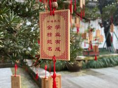 -东山雕花楼