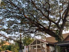 -Cheevit Cheeva(Sirimangkalajarn)