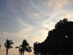 IMG_8863-情侣路