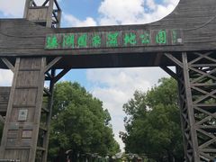 -溱湖国家湿地公园