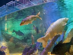 -沈阳海洋探索中心