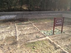 -延安杨家岭革命旧址