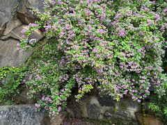 -天津盘山风景名胜区