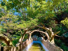 -沂蒙山旅游区云蒙景区(蒙山国家森林公园)