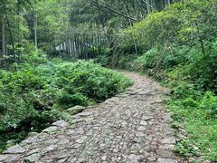 -会稽山峡洞漂流-上青古道