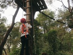 -芦仙山景区-飞越丛林探险乐园