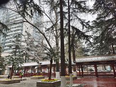 -中国人民解放军总医院