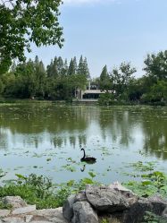 点击看大图 -玄武湖景区-情侣园游乐场