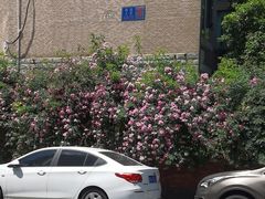 -祥鹤龙虾螃蟹