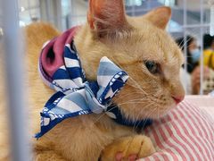 -远洋未来广场(育慧北路店)