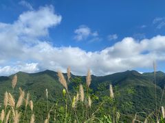 -梧桐山风景名胜区