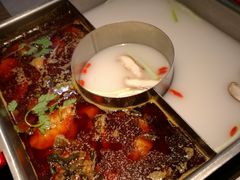 辣味鱼火锅-新辣道鱼火锅(上地华联店)