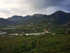 -大泽山风景名胜区