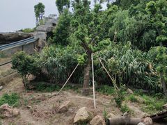 -宁波野生动物园