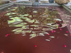 -天目湖御水温泉·度假酒店