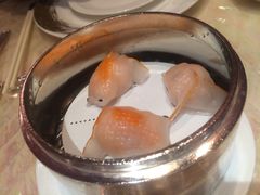 金鱼饺-8餐厅(新葡京酒店)