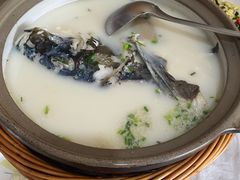 -天乐农家鱼头王(天目湖店)