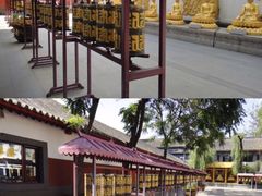 -护国法轮寺