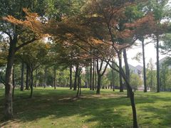 -美兰湖景区