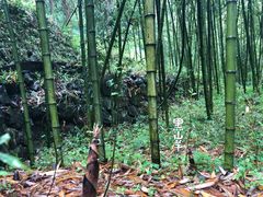 -藏龙百瀑风景区