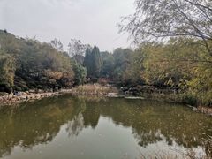-大连植物园