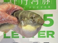 -肆月河豚·新淮扬菜·烤鸭(中关村店)