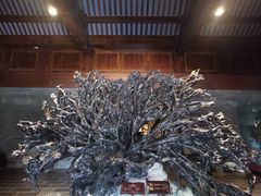 -乐山乌木文化博览苑