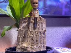 -梵薇Joker.V银饰工作室