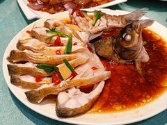 孔雀开屏鱼-西塘人家•黑金冠本地好店