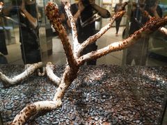 -墨尔本博物馆(Melbourne Museum)