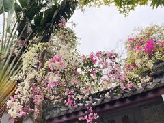 -深圳国际园林花卉博览园