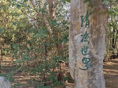 -云岗森林公园