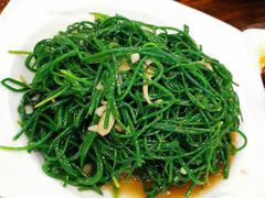 -苗氏卷子鸡(张掖金鸿大厦店)