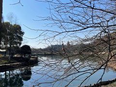 -八卦田遗址公园