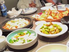 -前海沿·青岛菜(大拇指广场石老人店)