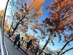 -广州市石门国家森林公园