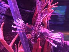 -沈阳海洋探索中心