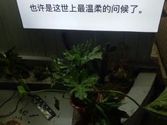 -海市蜃楼花园主题餐厅(石顶店)