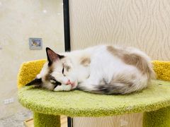 -东方之珠洗浴休闲广场(南开店)