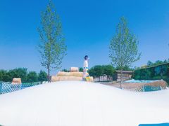 -北京鹿世界主题园