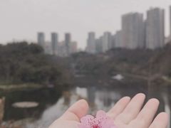 -重庆彩云湖湿地公园