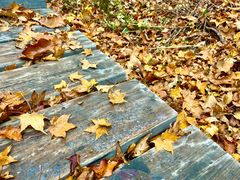 -白草畔自然风景区