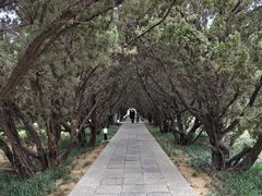 -洛阳古墓博物馆