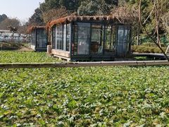 -洪湖家庭农场·团建·露营·会议