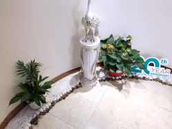 -新生植发·植养护一体