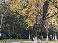 -两江幸福广场